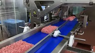 MULTIVAC W 510 Flowpacker Solution for Packaging Ground Protein Products