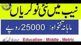 NAB Jobs 2020 - National Accountability Bureau Jobs