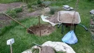 Как правильно посадить яблони в песчаный грунт на даче