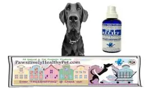 Private label pet supplements| Private label dog supplements