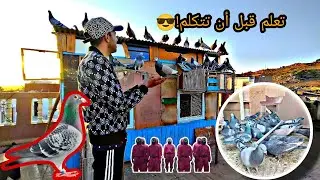 الحمام الزاجل | طريقة استخدام لقرنفل 🤔+ إعطاء وصفة طبيعية وزيت العود... 😎