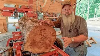 Sawing black oak logs for hardwood flooring!