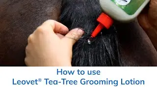 How to use Leovet&reg; Tea Tree Grooming Lotion