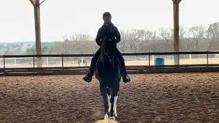 55-Kora and Shiloh reining Jan 2026