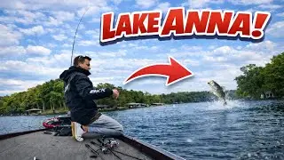 Searching for BIG Fall Bass At LAKE ANNA