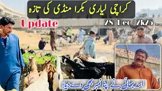 Asad Bhai Mobile Number Found | Karachi Liyari Bakra Mandi Today Update 🐐📱