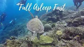 Music for sleep: Relaxation music, study music, concentration music, beautiful ocean visuals