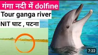 DOLPHIN FISH IN GANGA RIVER IN PATNA....#ganga #river #fishing #fishingvideo #😀
