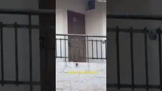 My PhD hostel room, IVRI, Izzatnagar, Bareilly, Uttarpradesh