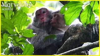 Warmt family..., Mommy Jane hugs Jonna under the raindrops with confident, Sweet family
