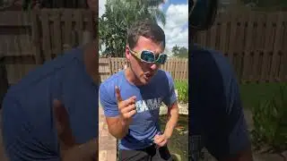 WHEN FISHING GOES WRONG P.3