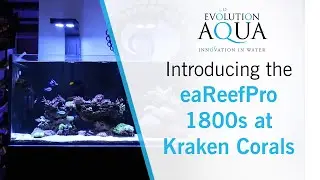 Introducing the eaReef Pro 1800s by Evolution Aqua