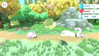 bRabbit