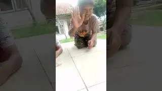 Tutorial geprok kartu