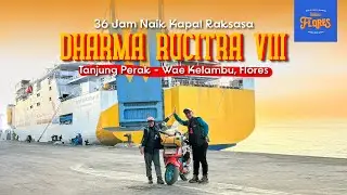 Bawa Motor 36 Jam Naik Dharma Rucitra VIII Kamar VIP, Kapal Surabaya Menuju Labuan Bajo  [3/11]