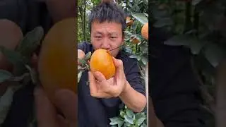 😍amazing fruits in  china| beautiful fruits | fruit basket | fruit farm in china  tiktok 2021