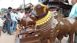 नंदीबैल आणि बिग बूल झाले गडचिरोलीकरांचे आकर्षण
