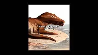 Modern animals that used to look very different in prehistoric times #whale #rhino