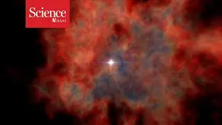 Ancient supernovae might have upended Earth&rsquo;s evolution