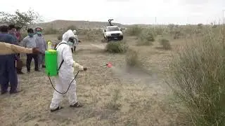 Department of Plant Protection - DPP