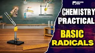 Basic Radicals | Chemistry Experiment | 2nd PUC Chemistry Lab Experiment | SimplifiedMinds