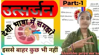 😱 मूत्र कैसे बनता है? | Urinary System Complete Explanation | Biology Trick Hindi #Viral #tranding 