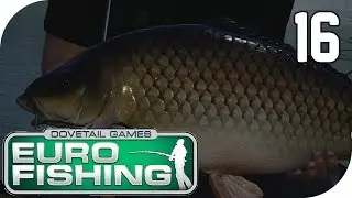 DOVETAIL GAMES EURO FISHING #16 - Multiplayer || Let's Play Euro Fishing || German