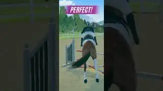 Rival stars show jumping ✨️ 😍