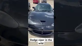 Dodge viper in the wild #dodge #dodgeviper #dodgevipergts #dodgeviperacr
