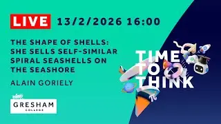 The Shape of Shells: She Sells Self-Similar Spiral Seashells on the Seashore - Alain Goriely