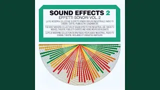 Animal / Seventeen-Year Locust / (Cavallette)