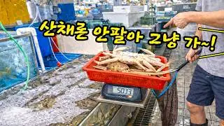 적반하장 소래포구, 저울치기가 안 통하자 결국 산채로 판매를 중단한 대게 상인(입문철TV EP.33)