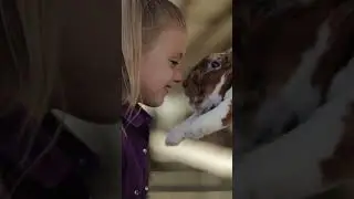Healthy & Happy Rabbits: Standlee Premium Forage in Action