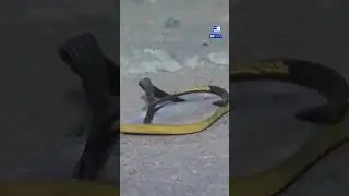 🚨 Adolescente de 15 anos atropela duas crian&ccedil;as e uma delas morre na Grande BH