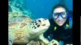 Sharm Tours, Sharm Excursions, Red Sea activities , Petra Tour