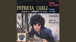 Quelle Est Belle Cette Nuit