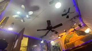Current Ceiling Fan Bedroom Display (9 Fans)