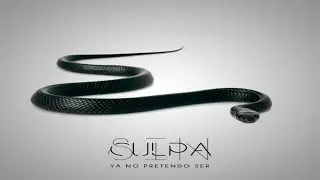 SIN CULPA YA NO PRETENDO SER