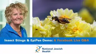How to Prevent and Treat Insect Stings and Bites