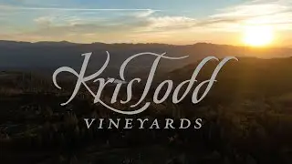 Kristodd Vineyards - Howell Mountain // Napa California