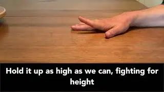 Finger Extension - Passive Range Holds