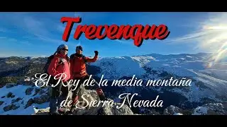 TREVENQUE🩵...