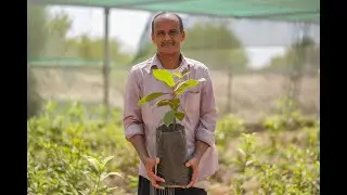 Building Sustainable Food Security in Yemen