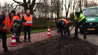 Van Dijk groenvoorzieningen B.V.