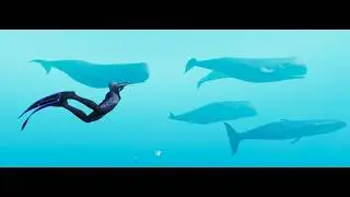 Beyond Blue Gameplay