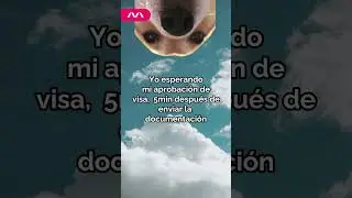 &iexcl;Esperando tu aprobaci&oacute;n de visa!    #australia #estudiaringlesenaustralia #visa #humor