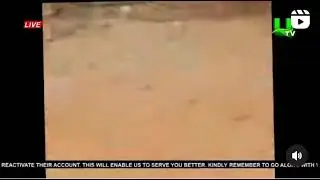 Kwame Ato Asare &ldquo;the galamsey gang leader pops up on the internet again, bullying a commander&rdquo;🇬🇭🥲
