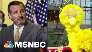 'S Is For Self Own': Big Bird Brings The Heat To 'Cancun Cruz'