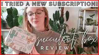 Trying A New Houseplant Subscription Each Month! Succulent Box Review