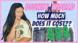 PLANNING A DISNEY BUDGET | HOW MUCH DOES IT COST HOW TO PLAN A DISNEY WORLD VACATION | STEP 2 of 13